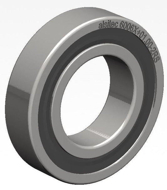 Übermaß Kugellager 6006X+01.00-2RS